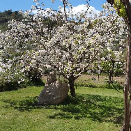 Vacanze Corongiu Casa vacanze