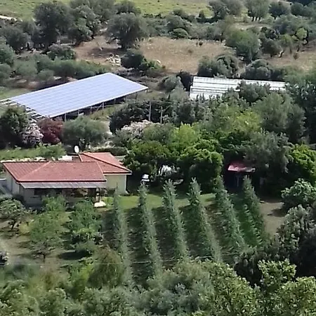 別荘 Vacanze Corongiu