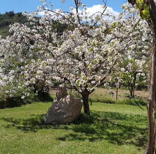 Vacanze Corongiu Nyaraló