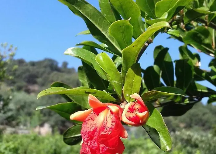 Vacanze Corongiu Nyaraló Tortolì